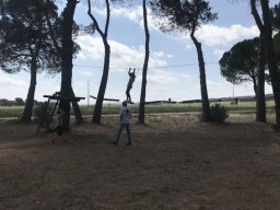 Foto 8-6-19 11 44 28